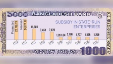 Govt to double subsidy in FY23 