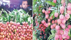 Rangpur lychee growers happy with price 