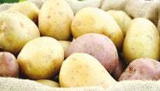 Now, potato price goes up 