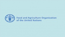 City corporations to collaborate with FAO 