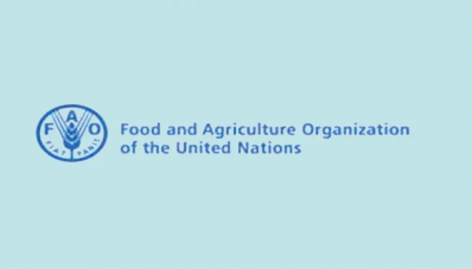 City corporations to collaborate with FAO 