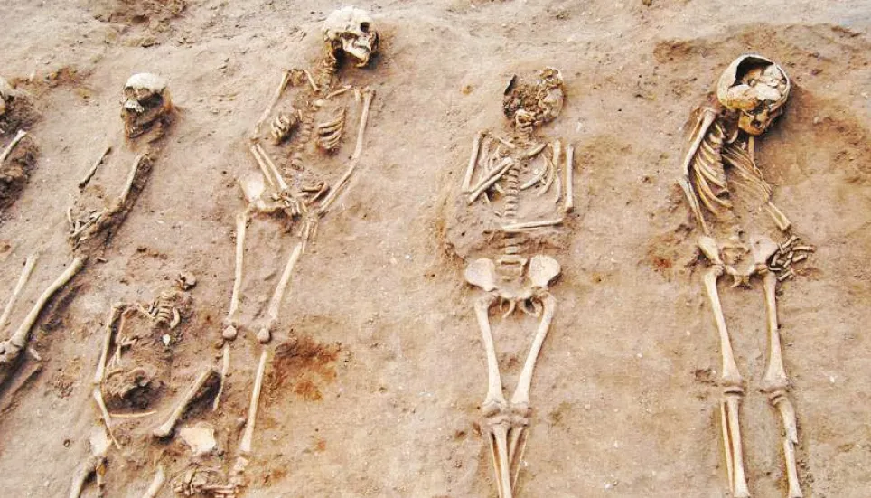 Black Death origin mystery solved after 675 years 