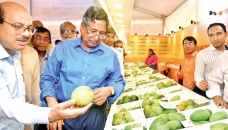 ‘Govt making strides to make country self-reliant in food’ 