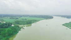 Freshwater fishes release eggs in Halda