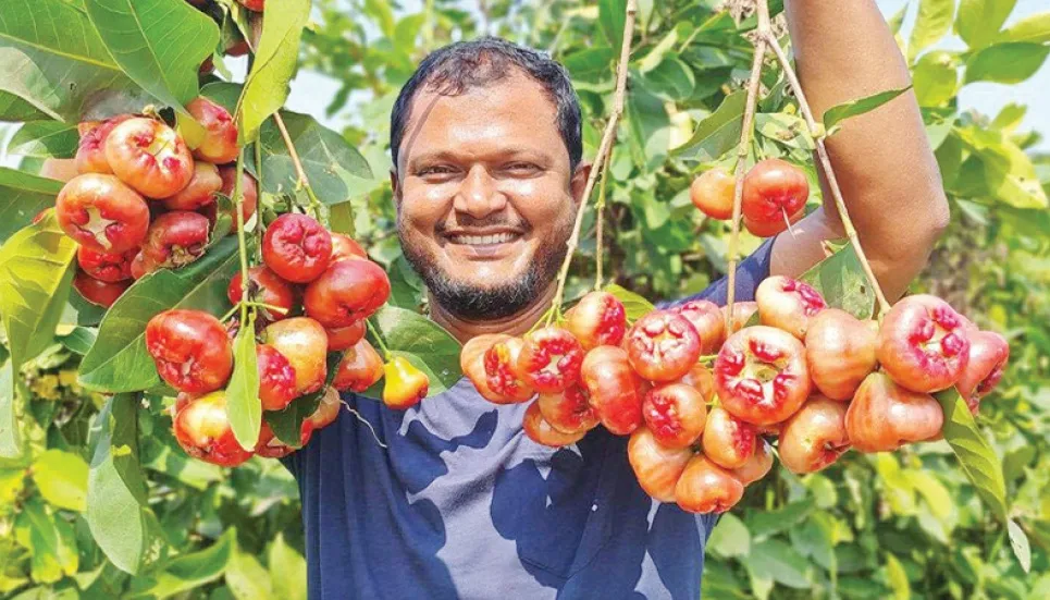 Bhola chairman now a role model as successful farmer