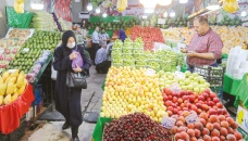 Inflation, subsidy reform hit Iran 