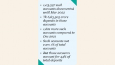 Bank accounts over Tk1cr surge by 1,621