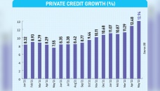 Private sector credit growth hits 41-month high