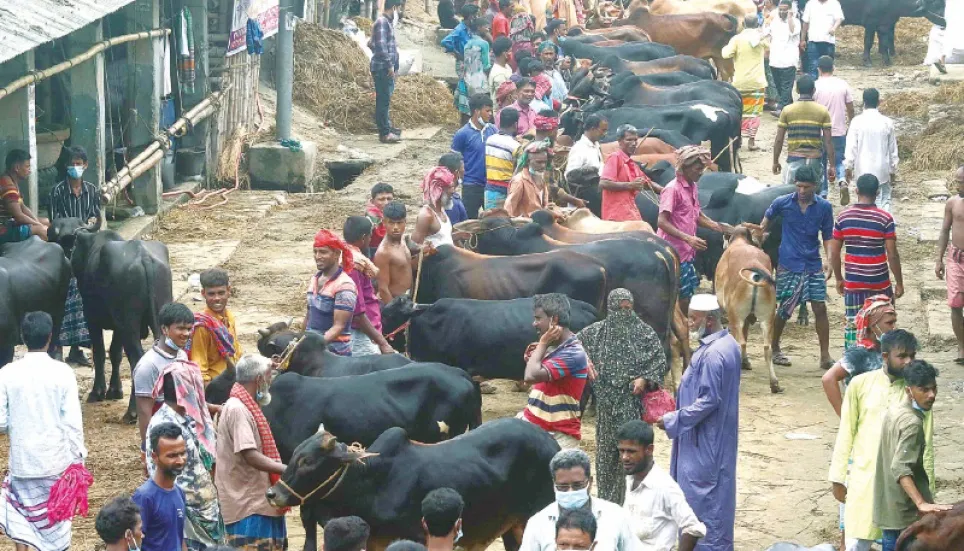 Over 1 crore cattle sacrificed on Eid-ul-Azha