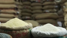 Padma Bridge to create new rice market 