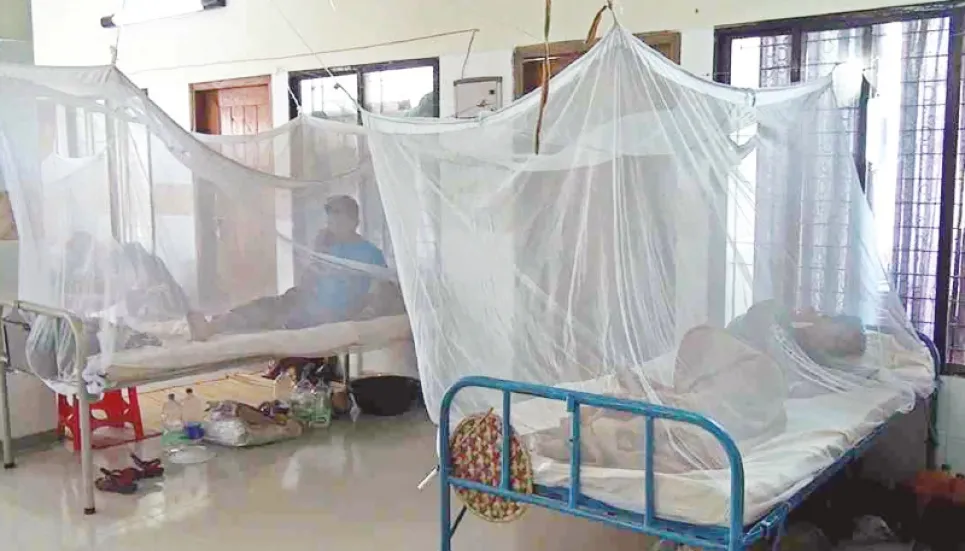 35 new dengue patients hospitalised 