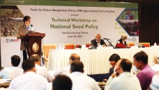 Illegal seeds flood local markets in absence of monitoring: Study 