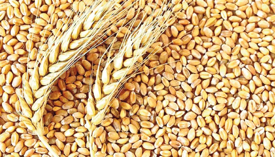 Wheat: The production demand mismatch 