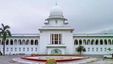 Form commission to trace plotters against Padma Bridge: HC