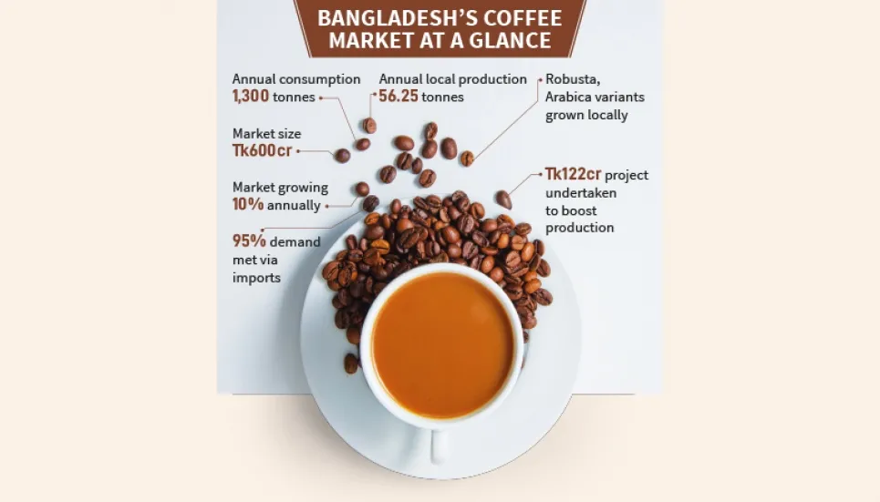 Coffee market sees robust growth as demand rises   