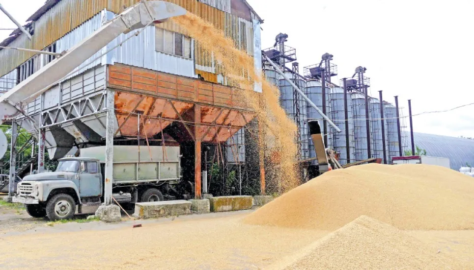 Russian-held part of south Ukraine aims to sell grain to Middle East 