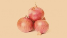 Onion shortages to rise despite production jump 