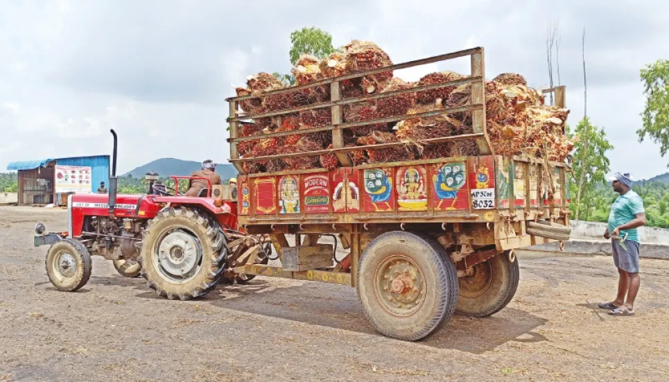 India’s June palm oil imports jump 14.96% 