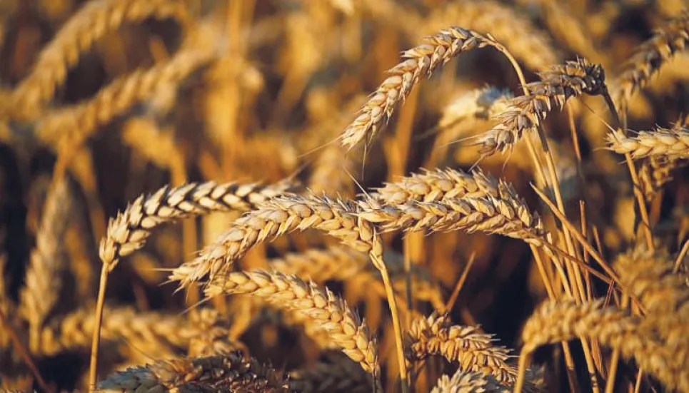 Breakthrough at Ukraine grain export talks 