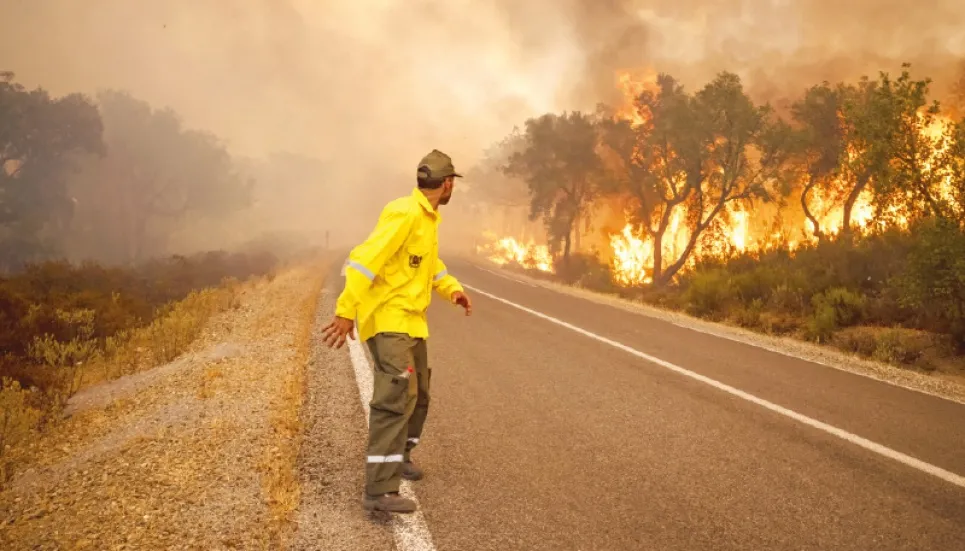 Heatwaves break records, wildfires across globe 