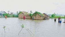 Flash floods damage crops worth Tk 100 crore in Kurigram