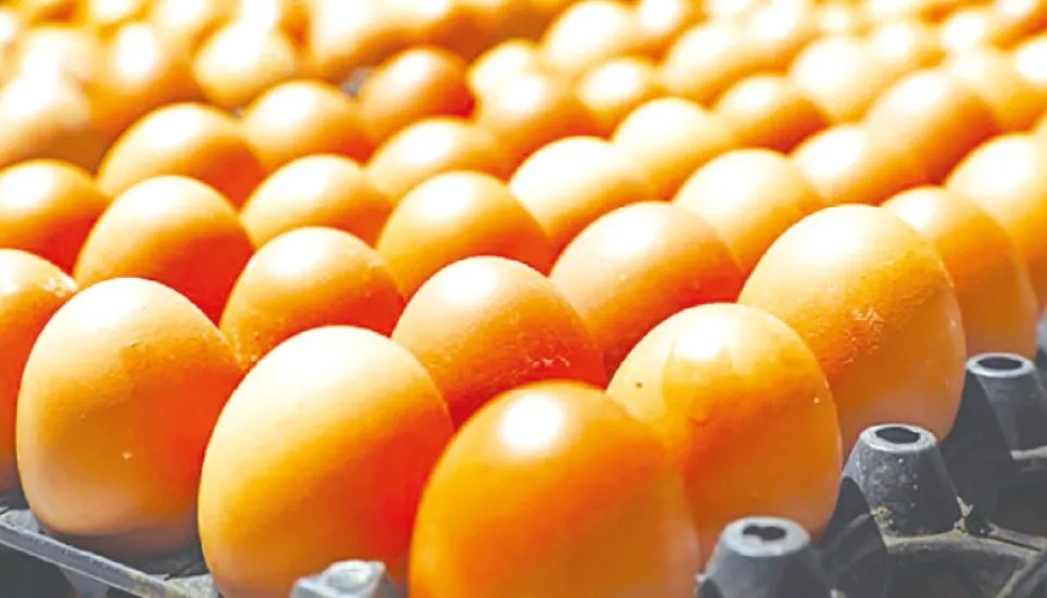 Eggs cost more despite farm price cuts