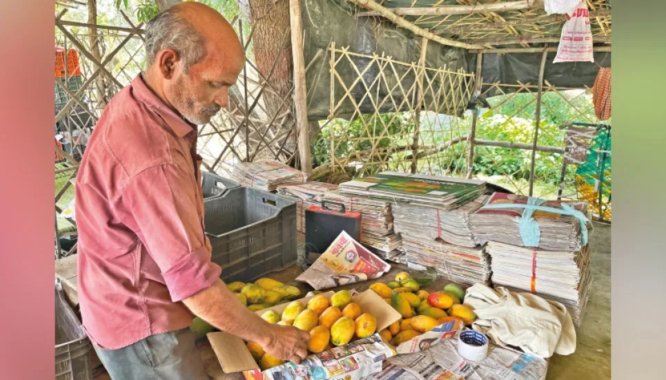 India’s mango man, father of 300 varieties 