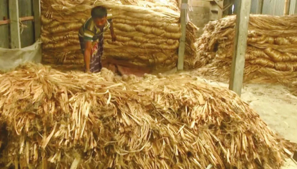 Southern region sees growth in jute production 