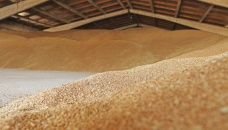 Govt constructing modern warehouse to store wheat in Ctg