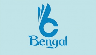 Panel to probe anomalies in Bengal Fine Ceramics reports 