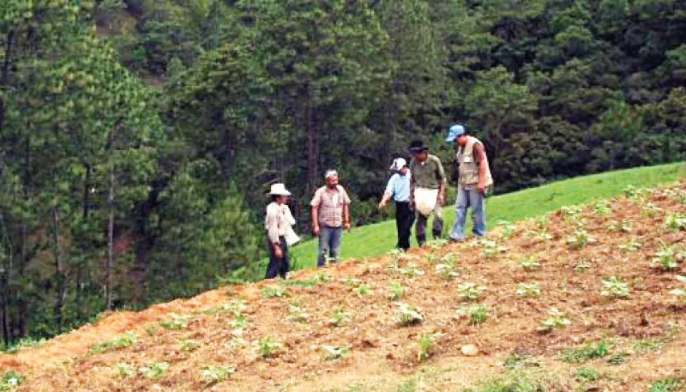 90% of Earth’s topsoil at risk by 2050: FAO