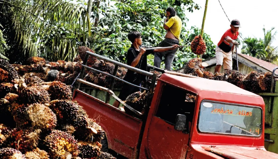 Indonesia to retain domestic palm oil sales rules 