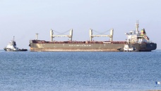 Ukraine wants shipping safe passage deal extended beyond grain 