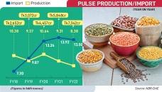 Pulse production down, imports up 