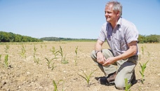 Extreme heat, price hikes impose tough choices on UK farm 