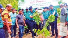 RMP launches tree plantation campaign 