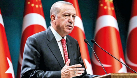 Turkey not looking to take Syrian territory: Erdogan 