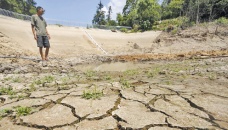 Chinese farmers struggle as scorching drought wilts crops 