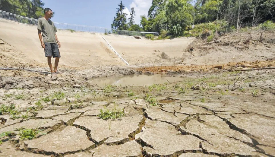 Chinese farmers struggle as scorching drought wilts crops 