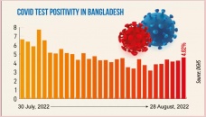 Covid: Daily infection rate at 4.62% 