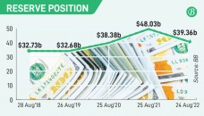 Forex reserves fall $8.6b in a year 