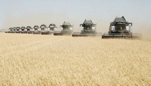 Dhaka set to import 500,000 tonnes of Russian wheat 
