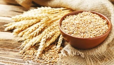 Govt to import 5 lakh tonnes wheat, 3.30 lakh tonnes rice 