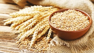 Wheat being imported from Canada: Tipu