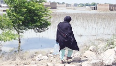 Shame, misery as Pakistan floods leave many without toilets 