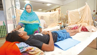Dengue: one more dies, 635 hospitalised in 24hrs