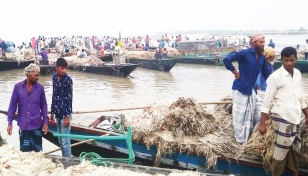 Floating jute market in Sirajganj sees huge trade 