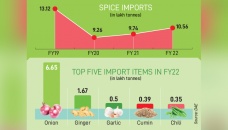 Spice imports hit 1m tonnes again 