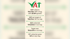 VAT collection grows 20% in August 