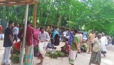 Betel leaf trade booms in Hili 